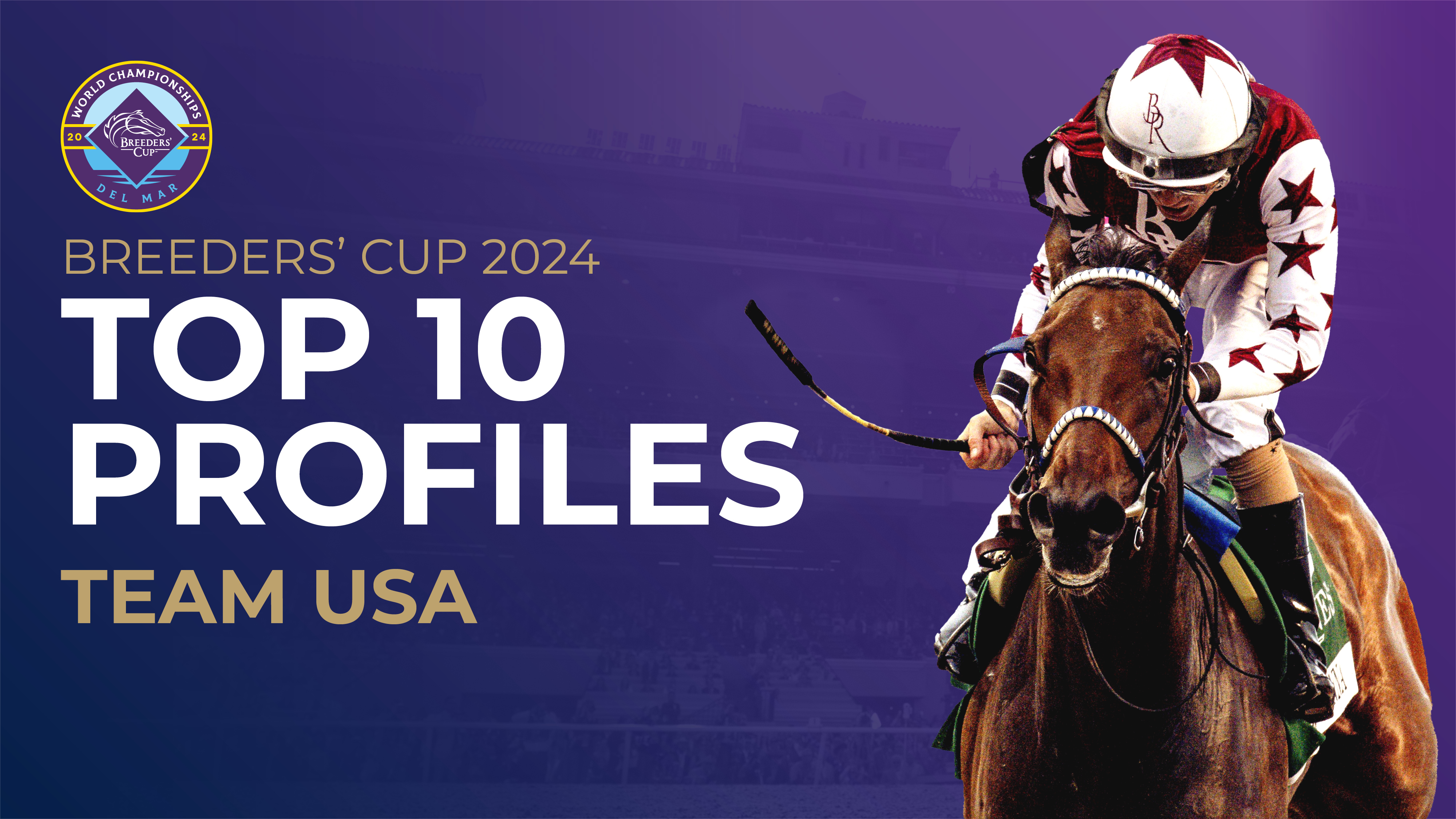 Breeders' Cup 2024: Team USA profiles ahead of Del Mar